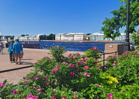 экскурсия Васильевский остров СПб